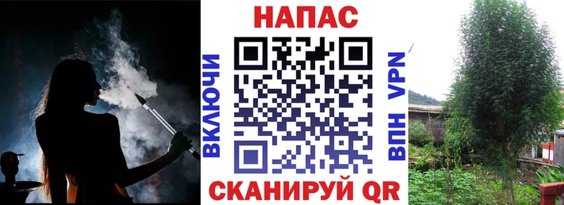 Каннабис Amnesia  что такое   blacksprut зеркало  Салаир 